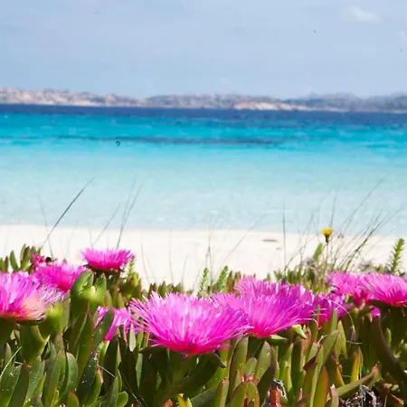 Leone Flat Iv 15' Palau & Private Garden *